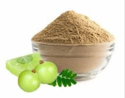 Amla Powder Extract Origin India Features Vegan Nutrient Density High Active Compound Zeatin Organic Status Organic Mineral Content Present - SHREE SAI BIOTECH - India