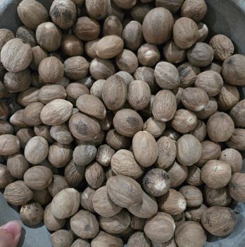 Nutmeg:  Moisture: Max. 10% Nut Count: 230 nuts/kg Grade: SS/BWP Mould Tolerance: Max. 5% - PT. Christy Sejahtera - Indonesia