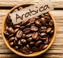 Vietnamese Arabica coffee beans - Sora Coffee - Vietnam