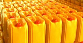Palm Oil CP10 - Radiant Nuts and Spices Pvt.Ltd - India
