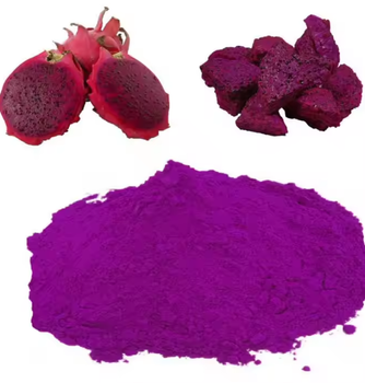 Dragon Fruit Powder Packaging 20KG - PT DBALOY FOOD INDUSTRIES - Indonesia