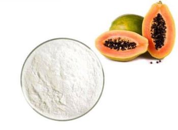 Papaya Papain Extract Packaging Details 25kg Packaging Fiber/HDPE - Kesita Global - Cameroon