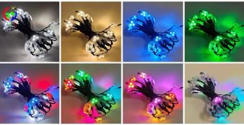 Amazing LED Permanent RGB Lights IR Control Randomly Architectures Lighting - DongGuan Qishi GuangYao Lighting Factory - China