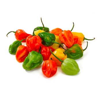 STOCK EXPORT Fresh Green Bell Peppers-Wholesale Organic Habanero with Sweet Flavor High Quality 5/10kg Carton - MFD AGRICULTURE LTD - United Kingdom