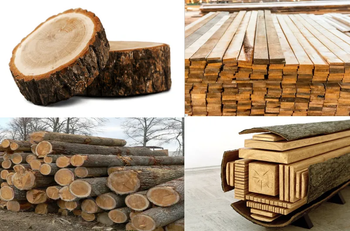 High Quality Hardwood Lumber for Furniture Making and Interior Decoration - Mutlu Et Mustafa - France