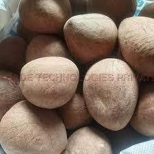 Coconut Copra Aroma Rich Oil Content High Quality Standard Premium Quality Shelf Life Retains Freshness And Quality… - Thai Agri Company - Thailand