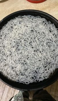 Basmati Rice – product photo, Broken Basmati Rice products found from trusted suppliers, wholesalers, manufacturers & exporters Listing