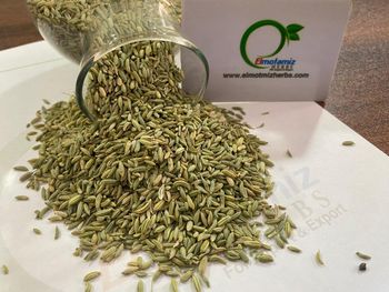 Fennel seeds - Elmotmiz Herbs - Egypt
