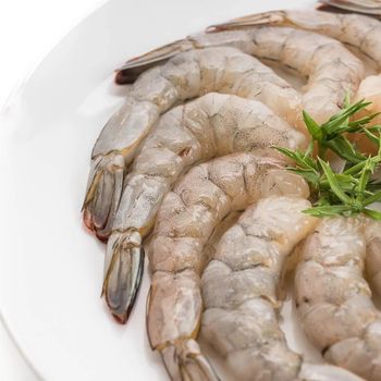Frozen Tiger Shrimps Hand Selected Marine Product With Rich Protein Content Fine Texture And Dependable Supply - TOSOH INTERNATIONAL - South Africa