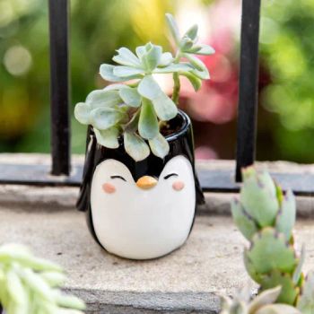 Penguin Flower Pot Cute Animal Planters Shape Oval Size Medium Use Type Desktop Finishing Glazed Model NO. AY00513 HS Code - Xiamen Yoyo Ceramic Trading Co., Ltd. - China