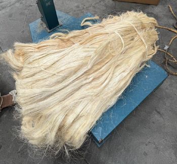 Premium Grade Eco-Friendly Natural Sisal Fiber Raw Material for Industrial Applications – Ideal for Pattern Spinning, Textile Yarn Production, Cloth Weaving, and High-Tensile Strength Rope Manufacturing - Nedvixs Company Limited - Kenya