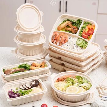 Customization Disposable Bento Boxes & Soup Bowls Combo - Microwave/Fridge Safe, Multi-Compartment with Lids, Variety Pack - Fujian Longyi Plastic Products Co., Ltd. - China