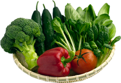Product - ALAYOSH INVESTMENT COMPANY - Global