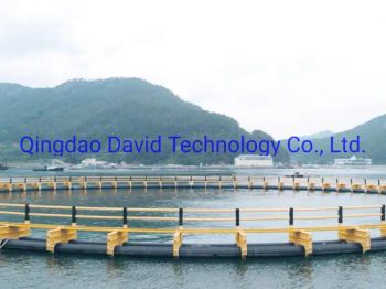Diameter 30mm-1000mm Aquaculture HDPE Square Circular Cage Net for Fish Farming - Qingdao David Technology Co., Ltd. - China