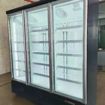 Vertical Frozen Display Cabinet Commercial Durian Dumplings and Other Quick Freezers Air Cooled Ice Cream Cold Cold Freezer - Jinan Ice Spring Electric Appliance Co., Ltd - China