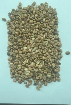 Angola Robusta Beans – product photo, Roasted Robusta Coffee Beans products found from trusted suppliers, wholesalers, manufacturers & exporters Listing