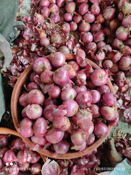 Fresh Onion from Fresh onions Fresh Onion – product photo, Fresh Sweet Onion products found from trusted suppliers, wholesalers, manufacturers & exporters Listing