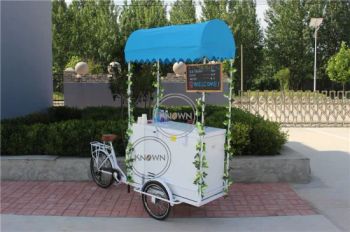 KN-0321 CE Cargo Bike Electric Mobile Push 4W 920mm 1CBM Trademark KN Origin China Body Type Open Certification CE Model NO. KN-0321 - ZHENGZHOU REALLY IMP. & EXP. CO., LTD. - China