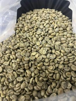 Robusta Coffee Supply Stability Stable Price Per Metric Usd 2700 Bean Type Arabica, Robusta Quality Standard Consistent - PRIME FIELD AGRICULTURE LIMITED - United States