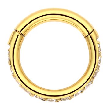 Piercing Stories Titanium Helix Hoop with Czs Nose Ring Earrings Body Jewelry - Qingdao Jurenxinyuan International Trade Co., Ltd. - China
