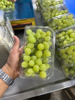 Grapes Origin Egypt Farm Badrawy Farms - Sobek Export Badrawy Farms  - 20