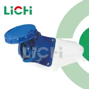 High Quality IP67 2p+E 230V 125A 6h Industrial Wall Mounted Sockets for Industrial Usage - Wenzhou Lichi Electric Co., Ltd - China