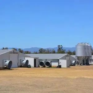 Prefabricated Steel Structure Piggery Building Fabrication Pig Farm Structures - Zhengzhou Angde Machinery Equipment Co., Ltd. - China