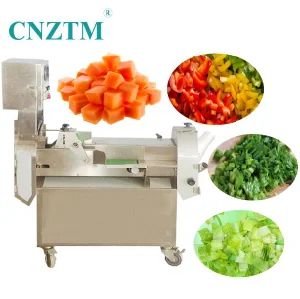 Root Vegetables and Leaf Vegetables Potato Onion Slicer - Zhucheng Tianshun Machinery Co., Ltd. - China