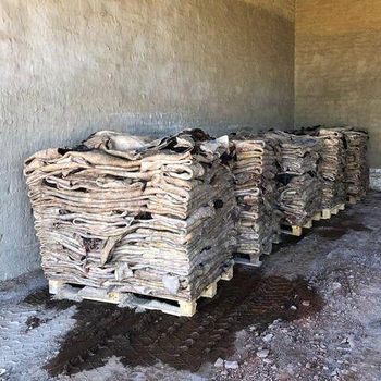 Wholesale Dealer Of Cheapest Price Dry And Wet Salted Cow Hides / Skins / Animal Cattle Hides - VERTEX TRADING LIMITED - United Kingdom