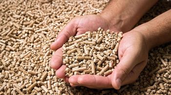 Biomass Fuel Pine Wood Pellets 6mm A1 Wood Pellets Italy Germany Europe DIN PLUS 8mm Made Oak Sawdust - Smart Agri GmbH - Germany