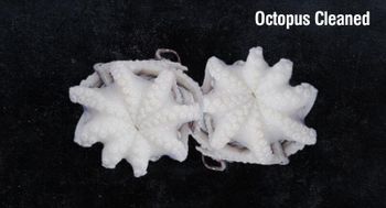 FROZEN OCTOPUS WHOLE CLEANED BEST PRICE EXPORT - AMAZE SEAFOOD TRADE - India
