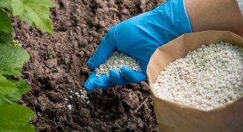 Buy NPK Fertilizer Online - Best Price & Free Delivery - EEC POLAND LTD  - Poland
