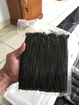 Vanilla Bean – product photo, Vanilla products found from trusted suppliers, wholesalers, manufacturers & exporters Listing