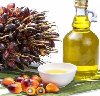 Top Grade Refined Palm Oil Olein CP10 CP8 CP6 for Cooking Bulk Plastic Bottle - AGRONOVA - United States