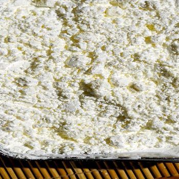 Premium Powder Milk for Daily Nutrition with Smooth Taste Ideal for Family Use Food Service - TRADECENTRIC LLC - United States
