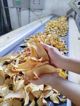 KONJAC CHIPS Grade A GRADE Shelf Life 12 MONTH Place of Origin INDONESIA Primary Ingredient Konjac Form Chips, Crusher, Powder - PT  BUANA ALAM LESTARI - Indonesia