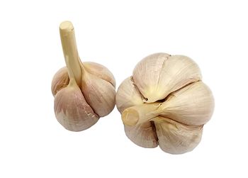 4&6 clove garlic - malter group - Tanzania