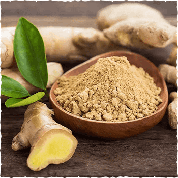 ginger powder Place of Origin vietnam Packaging 20-30kg PP-PE -  Vinasamex  - Vietnam