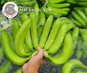 Premium Cavendish Banana from MAI KA CO., LTD Premium Cavendish Banana - MAI KA CO., LTD - Vietnam