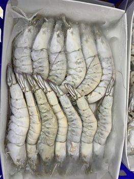 Frozen Hoso Shrimp Selected Whole Shell On Seafood With High Yield Processing Standards For Bulk Seafood Supply - TOSOH INTERNATIONAL - South Africa