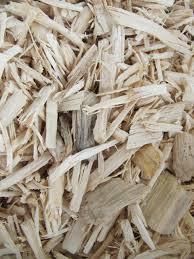 Eucalyptus, Pine, Acacia, Rubber Wood Chips for sale - Smart Agri GmbH - Germany