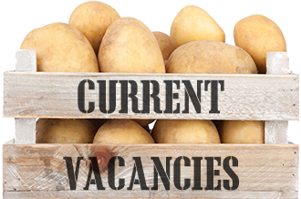 Product – product photo, Potatoes products found from trusted suppliers, wholesalers, manufacturers & exporters Listing