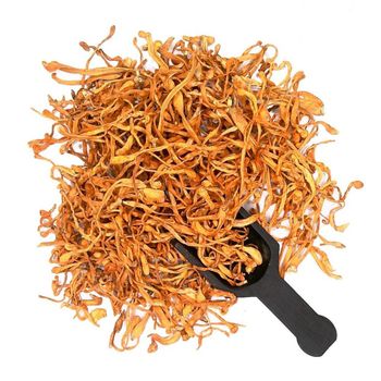 High Potency Dried Cordyceps Militaris Superfood Mushroom for Immunity and Energy Support - Dantay Mushroom - India