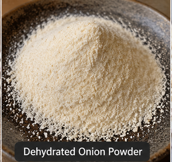 Dehydrated Onion from Noorgat Enterprises Dehydrated Onion - Noorgat Enterprises - India