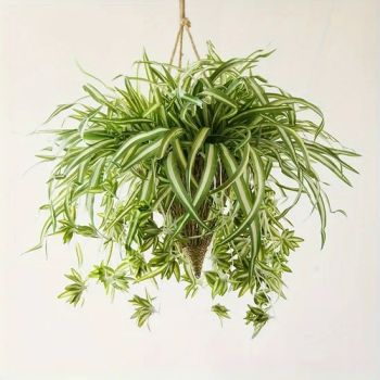 Promotional High Quality Fake Greenery Artificial Hanging Plants Home Indoor Decor Gifts - GOOD SELLER CO., LTD - China