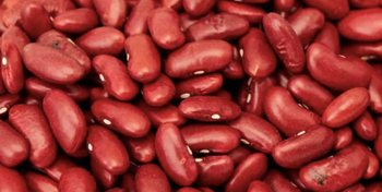 red kidney beans south Ethiopia origin. from ASHER COMMERCIAL FARM DEVELOPMENT PLC red kidney beans south Ethiopia origin. – product photo, Red Kidney Bean products found from trusted suppliers, wholesalers, manufacturers & exporters Listing