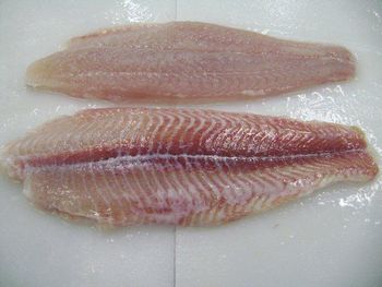 Frozen Pangasius Fillet Well-trimmed - CADOVINA - Vietnam