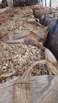 Wood Chips - PT Bukit Giri Energi Nusantara - Indonesia