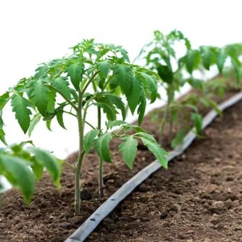 Irrigation Systems Micro Spraying Hose Rain Hose of Farm and Agriculture - Shandong Sinok Agriculture Technology Co., Ltd. - China