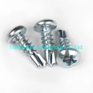 Wholesale Manufcturer C1022 /Ss Zinc Plated Self-Drilling Screw with Pan Head - Tianjin Bell Technology Co., Ltd. - China